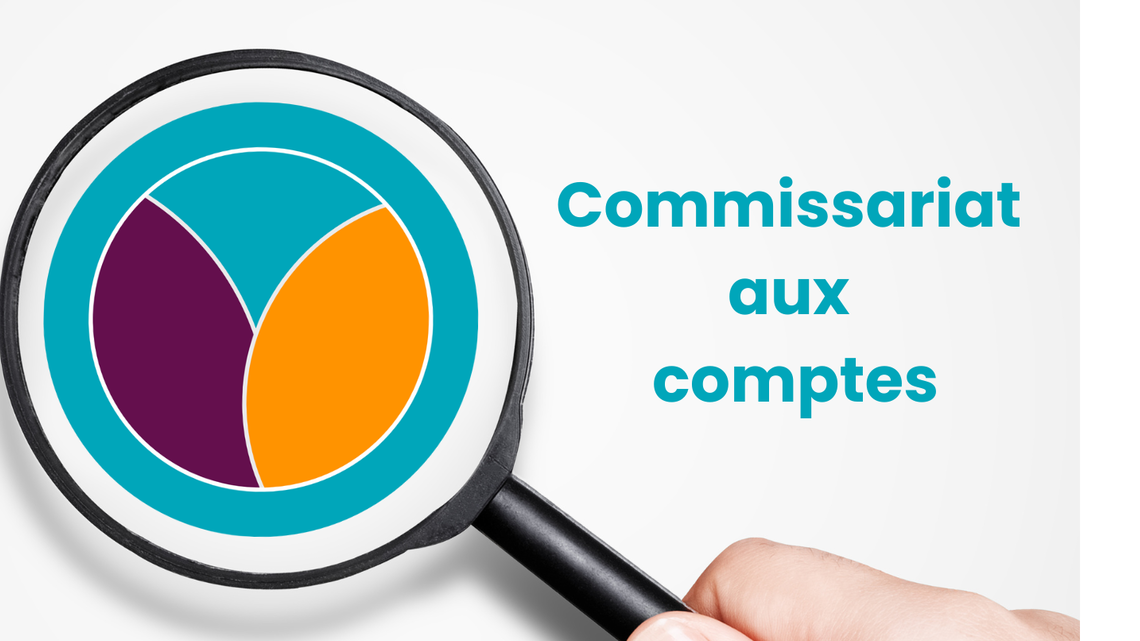 Commissariat aux comptes